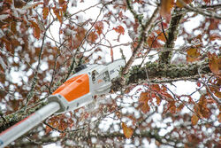 STIHL HTA 50 Battery Pole Pruner Skin tree ee day and sons ballarat