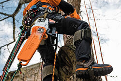 STIHL MS 201 TC-M Arborist 12+quot Chainsaw
